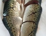 簡単♪鯖の魚醤焼き☆作り方1写真