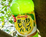 スプラッシュロックレモン作り方4写真