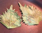 maepoの豚バラ茶漬け作り方2写真