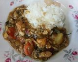 血管プラークダイエット431（朝カレー）作り方1写真