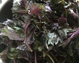 甘くて美味しい梅干し作り方6写真
