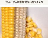 生とうもろこし簡単粒の取り方冷凍下準備作り方14写真