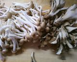 簡単！　根菜と　きのこの　炊き込みご飯♪作り方5写真