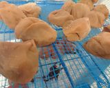 梅干し作り作り方9写真