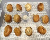 干し椎茸の粉末化｜粉砕機ハイスピードミル作り方1写真