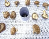 干し椎茸の粉末化｜粉砕機ハイスピードミル作り方2写真