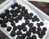 【簡単で美味しいブラックベリーの食べ方】作り方2写真