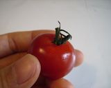 プチトマトのミニりんご作り方3写真
