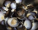 しじみごはん作り方10写真