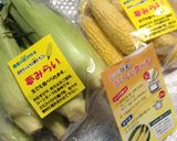 とうもろこしとB・オリーブとクリチのパテ作り方1写真