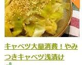 キャベツ大量消費！やみつきキャベツ浅漬け作り方10写真