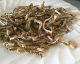 苦くないよ!!香り高いゴーヤ茶の作り方作り方8写真