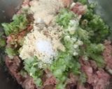 キャベツたっぷり皮から手作りぎょうざ作り方3写真