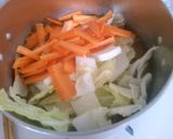 簡単！ 白菜と人参 卵の 中華煮込み♪作り方4写真