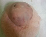 ◎桜あんぱん◎作り方6写真