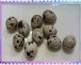 彩りサッパリごまダレ♪冷やし中華～っ♪作り方5写真