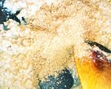 鶏そぼろそうめん作り方3写真