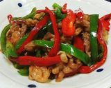 夏さっぱり豚小間肉とピーマンのオイ酢炒め作り方10写真