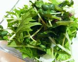 茄子の揚げ浸しと色々薬味の爽やかそうめん作り方1写真
