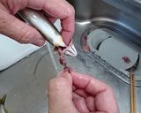 簡単! 鮎の甘露煮と炊込みごはん作り方4写真