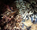 5倍濃縮 素麺つゆ作り方4写真