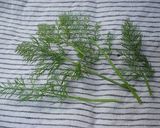 スモークサーモンのくるくるクリチ巻き作り方1写真