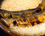 手間暇かかるが絶品！天然鮎で鮎の土鍋ご飯作り方7写真