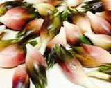 刻むだけ♡ミョウガ酢漬♡大量消費にも！作り方1写真