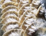 タネから手作り♡おから餃子作り方9写真