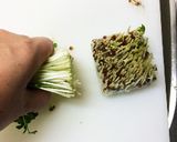 カップ麺にカイワレ大根作り方2写真