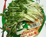 カップ麺にカイワレ大根作り方4写真