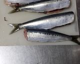夏にさっぱり☆イワシのトマト煮作り方1写真