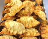 タネから手作り♡おから餃子作り方10写真