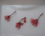 さくら♡咲きました♪ฺฺ作り方2写真