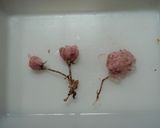 さくら♡咲きました♪ฺฺ作り方4写真