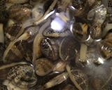 クラムチャウダー モントレー風作り方1写真