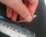 イワシの親子焼き♪作り方4写真