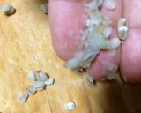 自家製麹で麦味噌作り作り方16写真