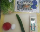 〆サバと夏野菜でアレンジそうめん作り方1写真