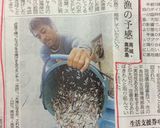 ♡新鮮☆スク(あいごの稚魚)の刺身♡作り方4写真
