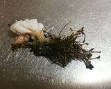 簡単!オカンのムール貝のワイン蒸し!作り方2写真