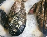 簡単!オカンのムール貝のワイン蒸し!作り方5写真