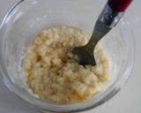 ホシノさんの育て方＊生種おこし作り方2写真