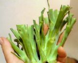 根菜の味噌ドレッシングサラダ作り方9写真