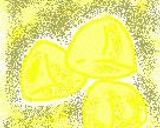 飾り栗きんとん作り方5写真