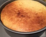豆腐でかさ増！混ぜるだけ簡単チーズケーキ作り方8写真