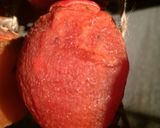 干し柿作り方5写真