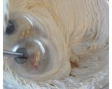 天板1枚で＊ヨーグルトブルーベリーケーキ作り方3写真