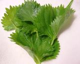 豚薄切り肉で大葉梅肉巻き♪作り方1写真
