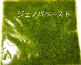 色々使え便利栄養価の高いジェノバペースト作り方2写真